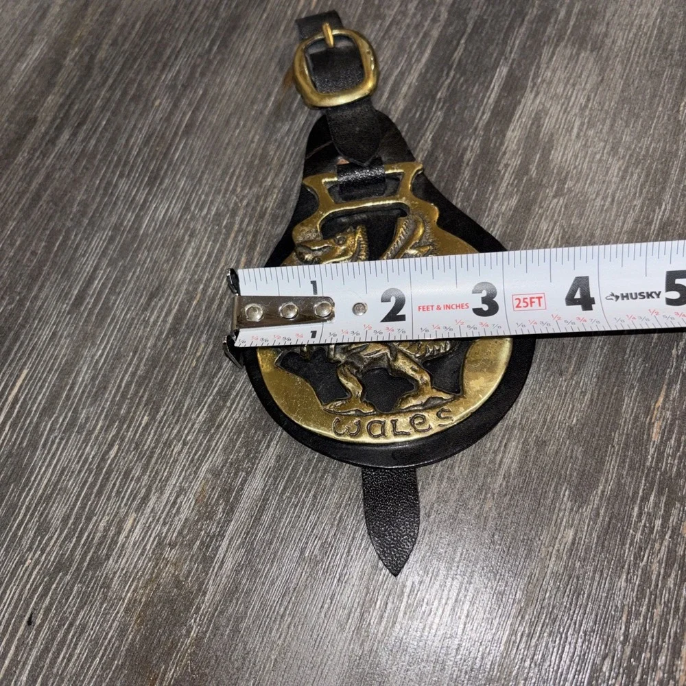 vintage leather Dragon strap brass medallion
